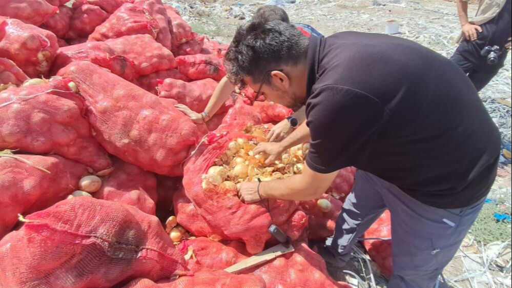 Tonlarcası boş araziye atıldı! Vatandaşlar seçerek evlerine götürdü Tonlarcası boş araziye atıldı! Vatandaşlar seçerek evlerine götürdü - 3. Resim