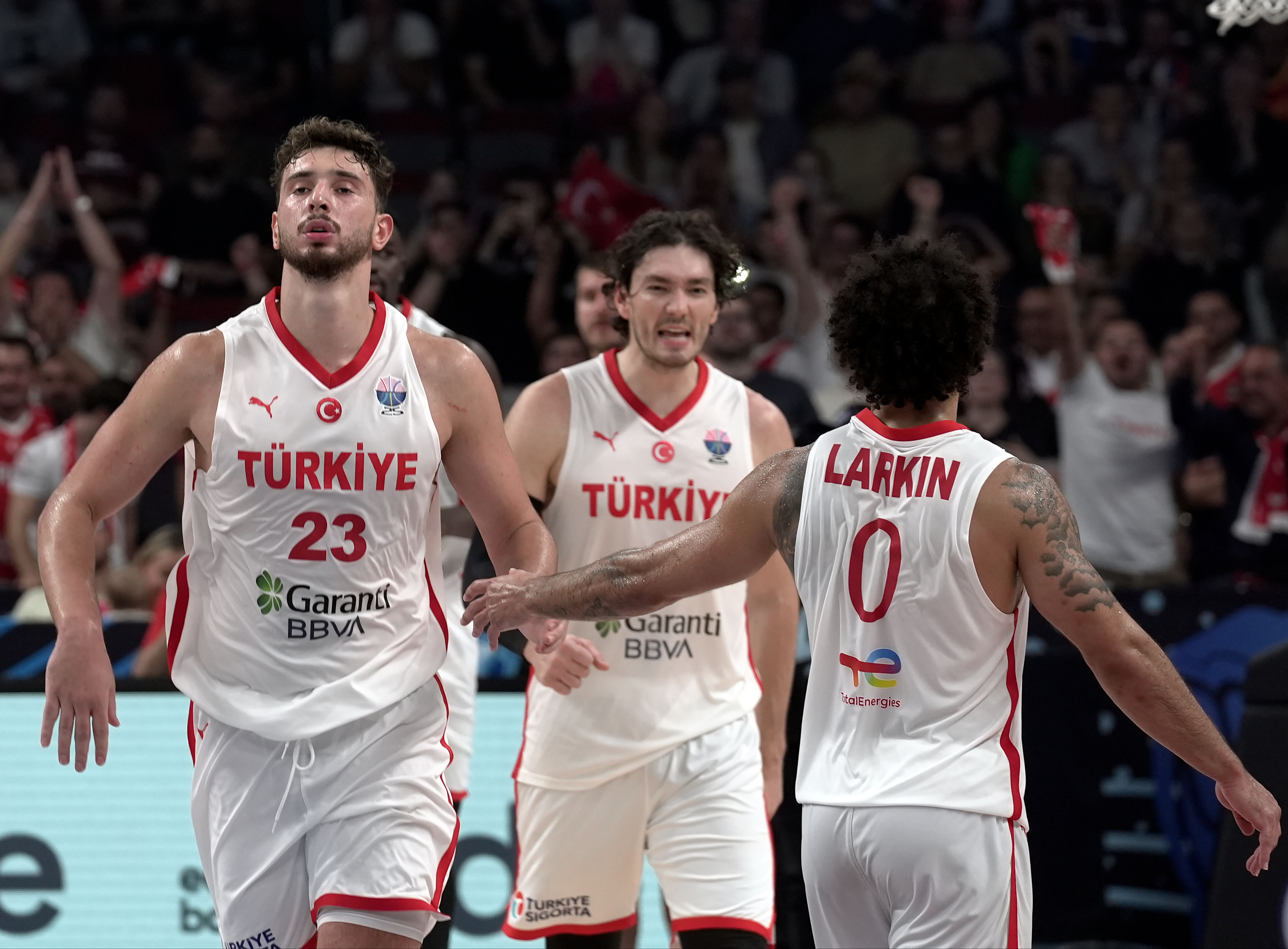 Türkiye-Sırbistan basketbol maçı ne zaman, saat kaçta, hangi kanalda? - 1. Resim