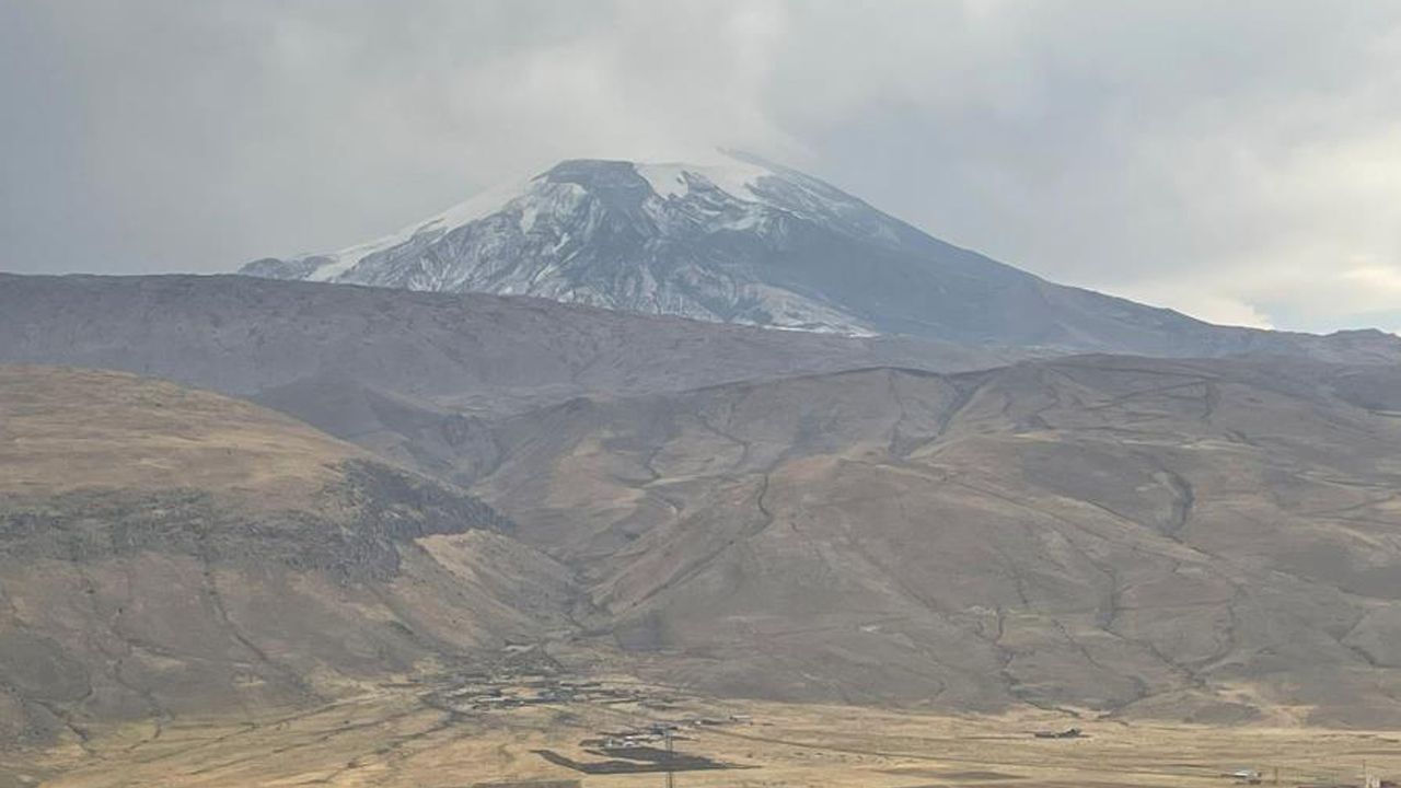 Yaşam