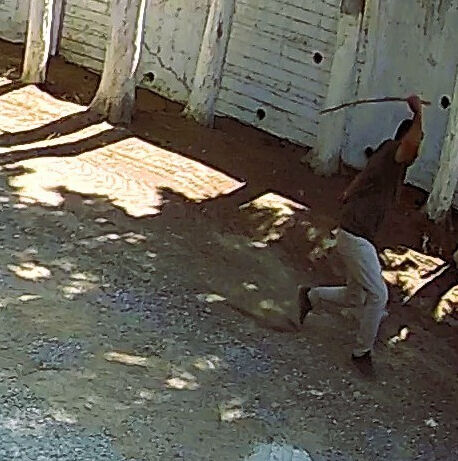 Zabıtaları sopayla darbeden belediye başkanı şimdi yandı! Görevden alınmasını isteyecekler Zabıtaları sopayla darbeden belediye başkanı şimdi yandı! "Görevden alınsın" başvurusu yapacaklar - 2. Resim