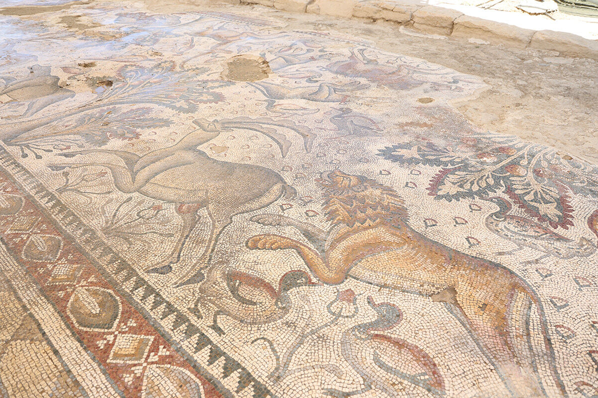 Ağaç dikerken 1700 yıl önceki Roma burjuvasını buldu! Halı gibi dokunan mozaikte ilginç detaylar ortaya çıktı - 8. Resim