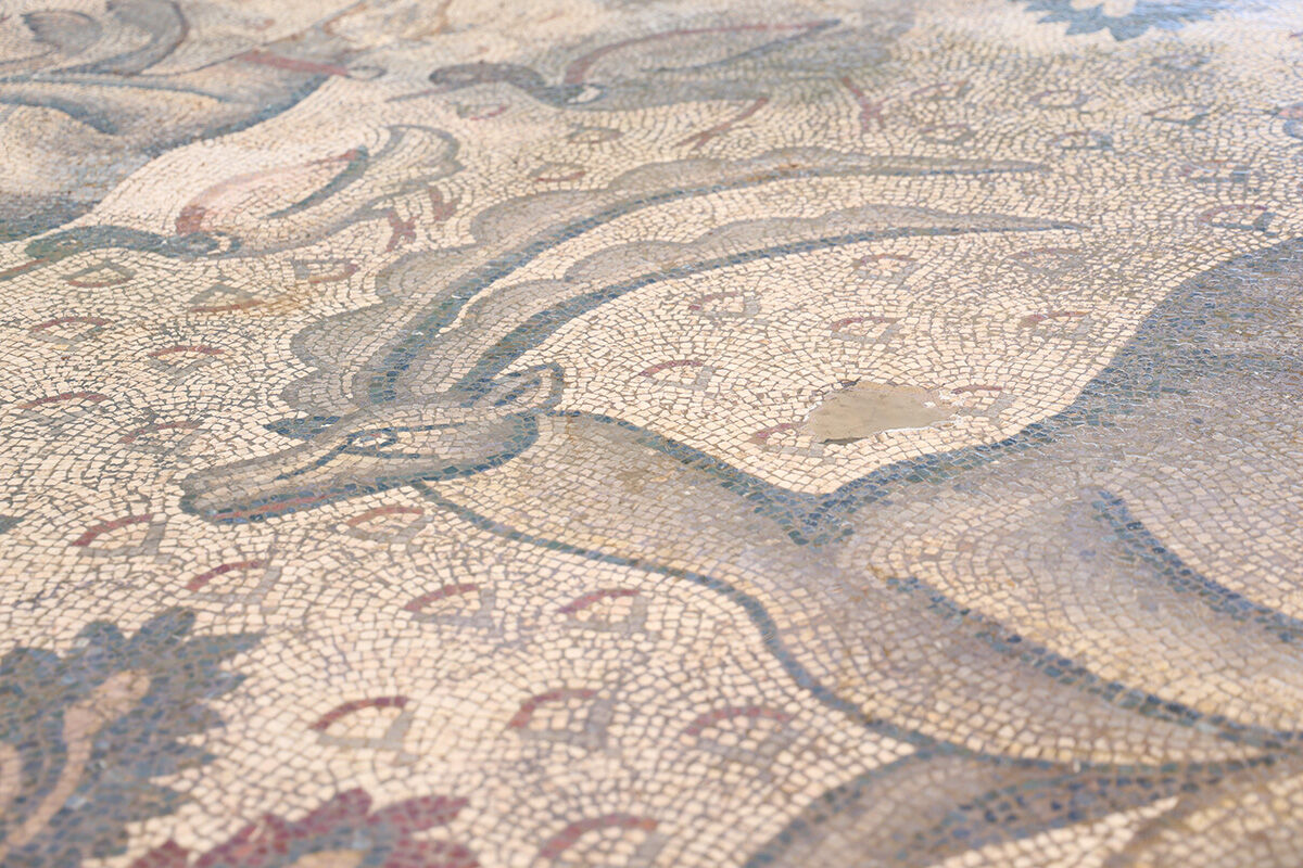 Ağaç dikerken 1700 yıl önceki Roma burjuvasını buldu! Halı gibi dokunan mozaikte ilginç detaylar ortaya çıktı - 7. Resim