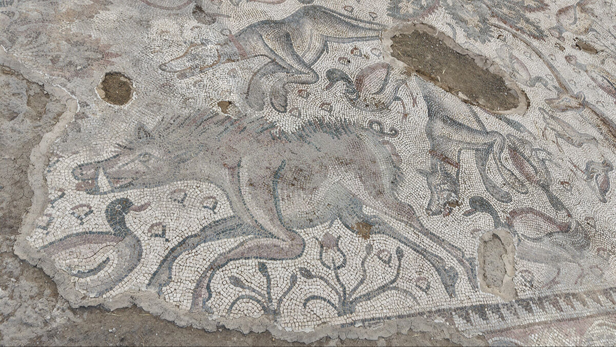 Ağaç dikerken 1700 yıl önceki Roma burjuvasını buldu! Halı gibi dokunan mozaikte ilginç detaylar ortaya çıktı - 5. Resim