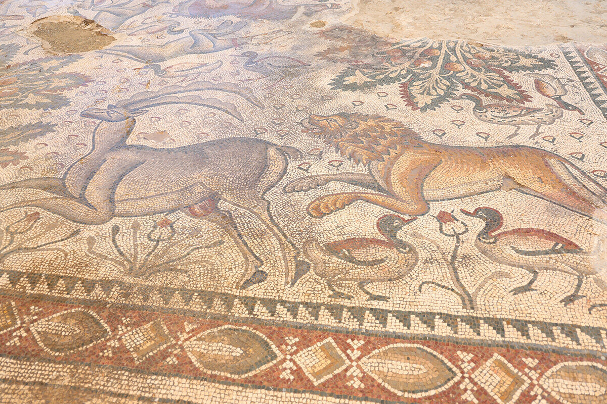 Ağaç dikerken 1700 yıl önceki Roma burjuvasını buldu! Halı gibi dokunan mozaikte ilginç detaylar ortaya çıktı - 6. Resim
