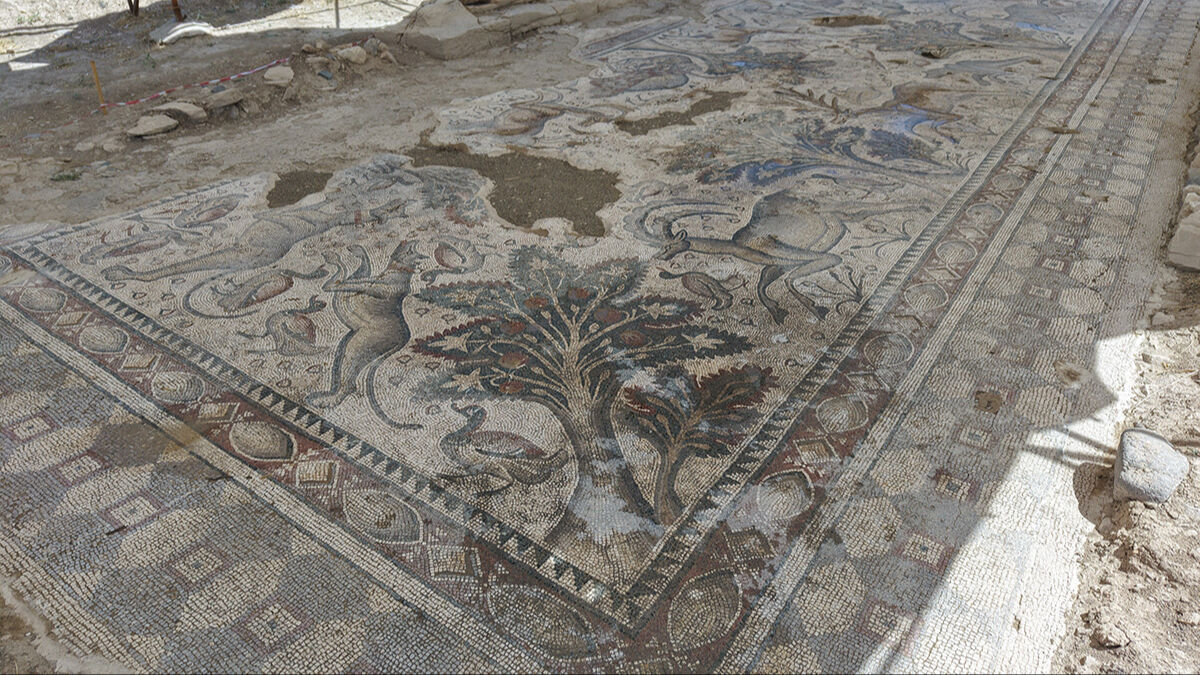 Ağaç dikerken 1700 yıl önceki Roma burjuvasını buldu! Halı gibi dokunan mozaikte ilginç detaylar ortaya çıktı - 3. Resim