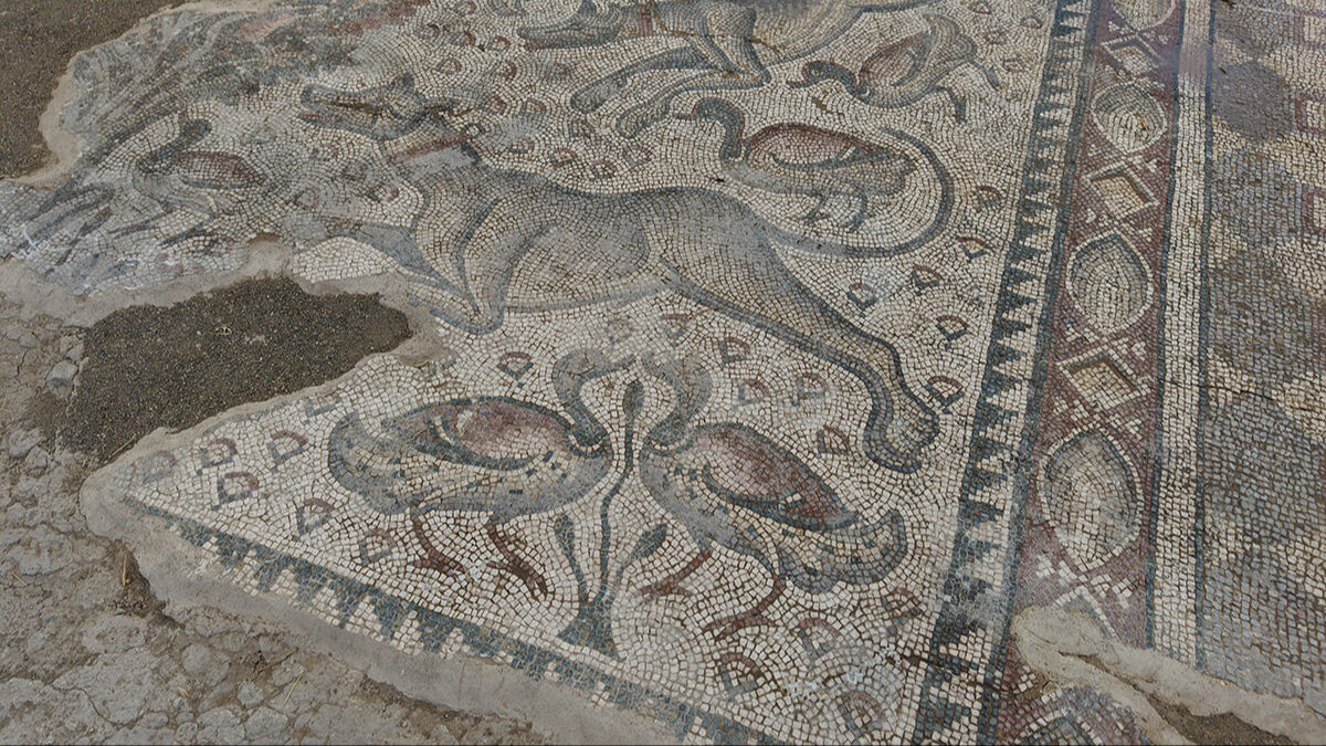 Ağaç dikerken 1700 yıl önceki Roma burjuvasını buldu! Halı gibi dokunan mozaikte ilginç detaylar ortaya çıktı - 4. Resim