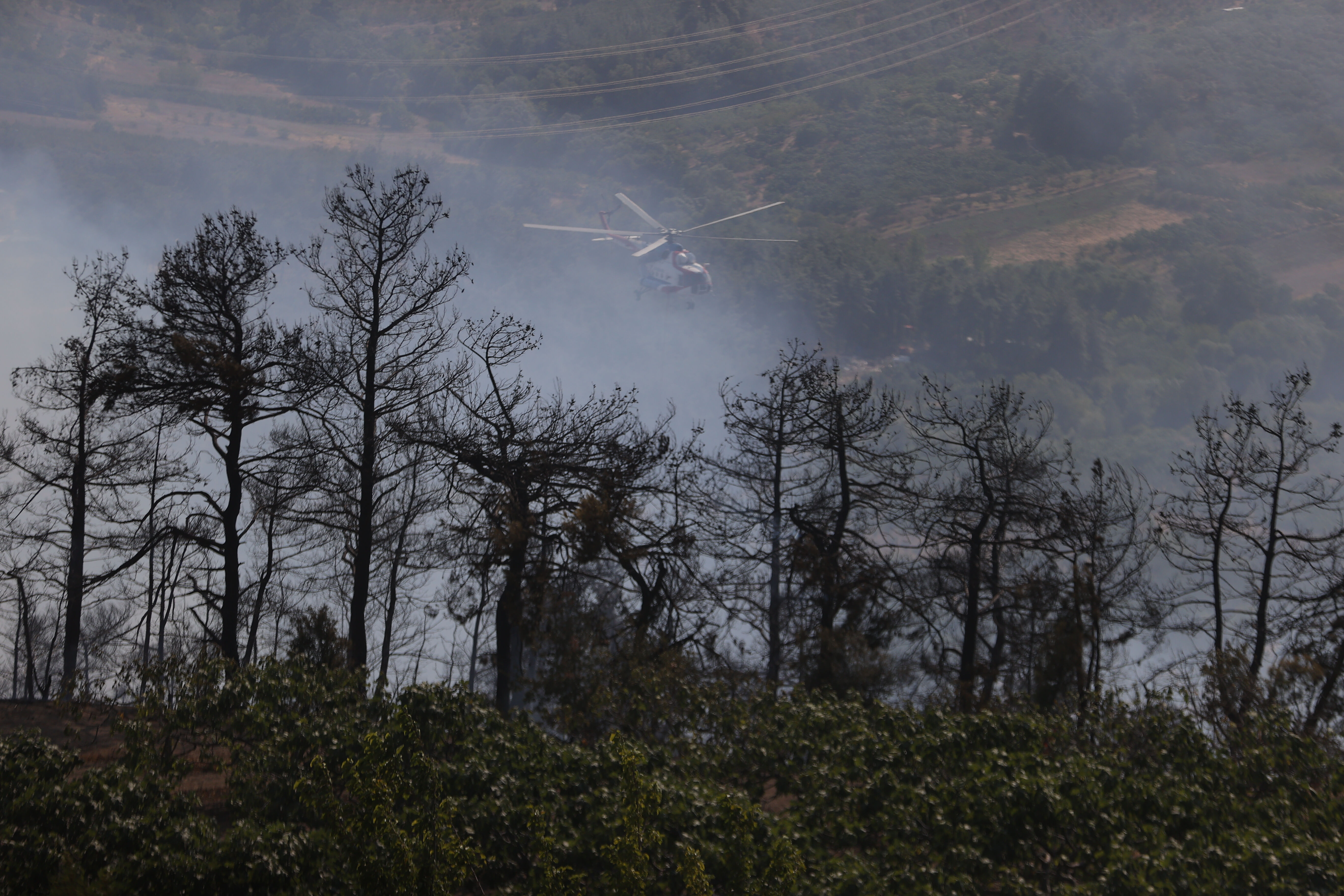 Bursa Osmangazi&rsquo;de orman yangını: Ekipler alevlerle m&uuml;cadele ediyor - 1. Resim