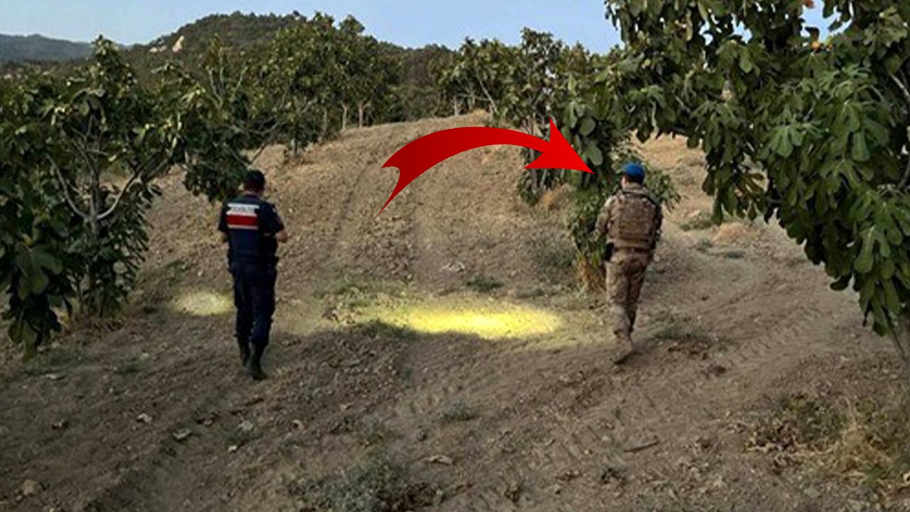 Jandarma tarlaya indi, karış karış gezdi! 1 kişi suçüstü yakalandı Jandarma tarlaya indi, karış karış gezdi! 1 kişi suçüstü yakalandı