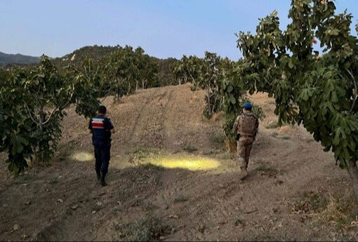 Jandarmalardan incir nöbeti! Tarlalara indiler - 1. Resim