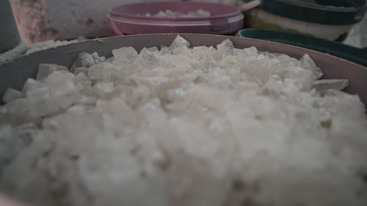 Yaşam