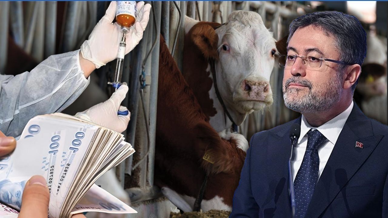 Şap hastalığında sevindiren gelişme! Bakan Yumaklı duyurdu: 6 ilin hayvan pazarı açılacak Şap hastalığında sevindiren gelişme! Bakan Yumaklı duyurdu: 6 ilin hayvan pazarı açılacak