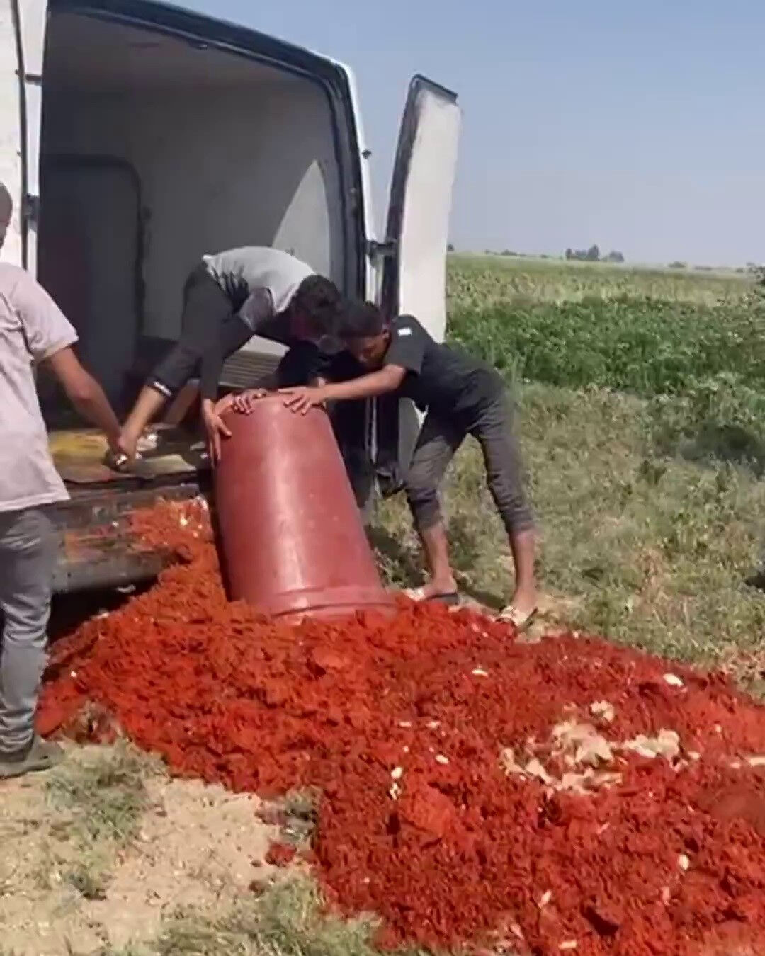 Vatandaşın masasına gelecekti! Tonlarca ürün imha edildi - 2. Resim