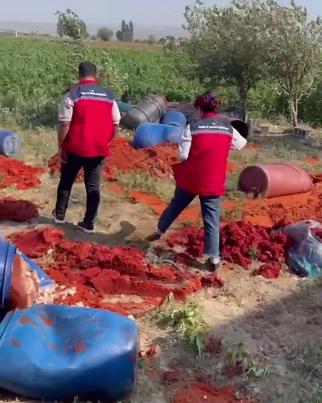 Vatandaşın masasına gelecekti! Tonlarca ürün imha edildi - 1. Resim