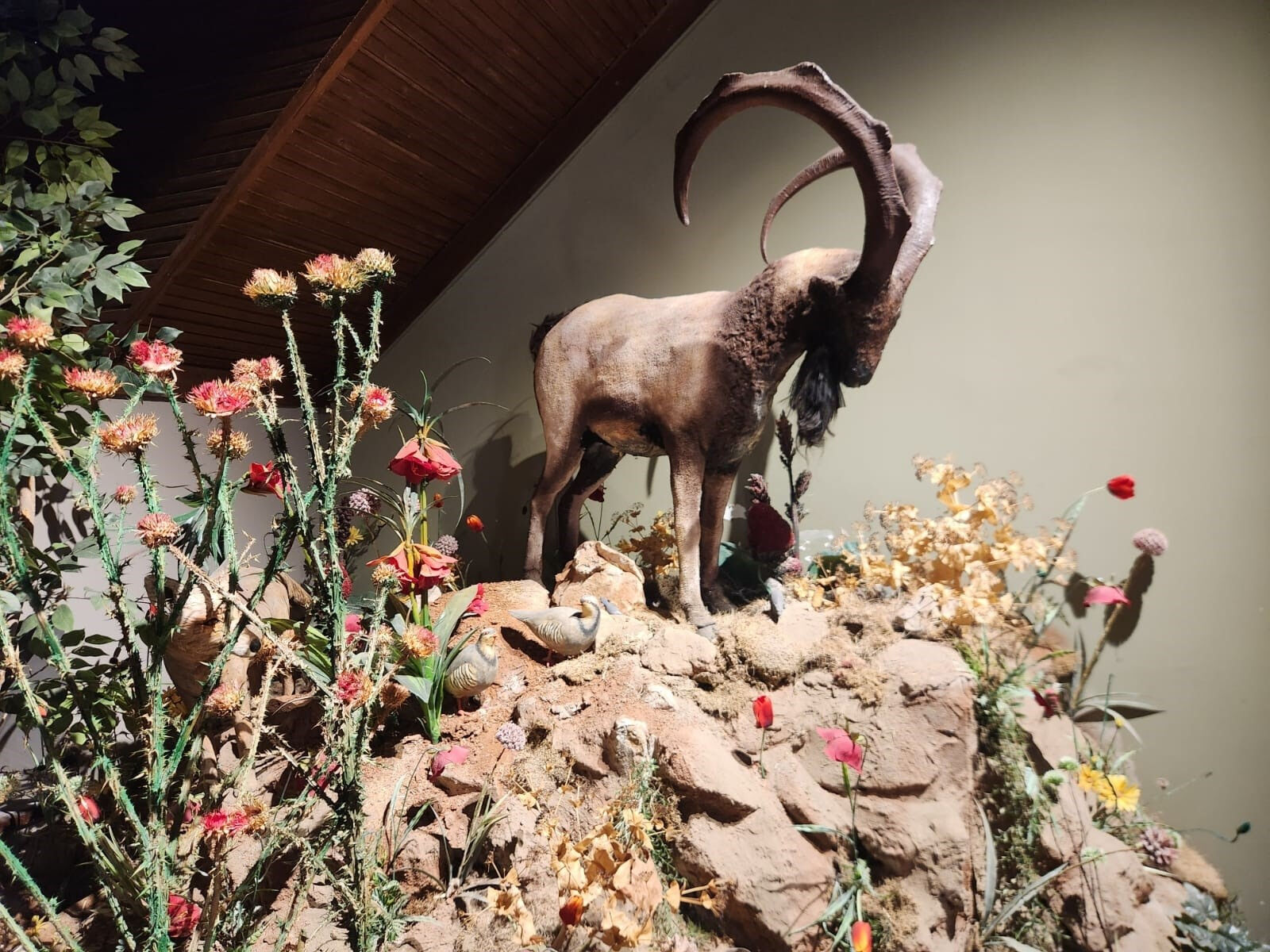 Askeri kışlaydı, Avrupa'nın en iyi 3 müzesinden biri oldu! Eseriyle şehrin tarihini aydınlatıyor Askeri kışlaydı, Avrupa'nın en iyi 3 müzesinden biri oldu! Eseriyle şehrin tarihini aydınlatıyor - 1. Resim