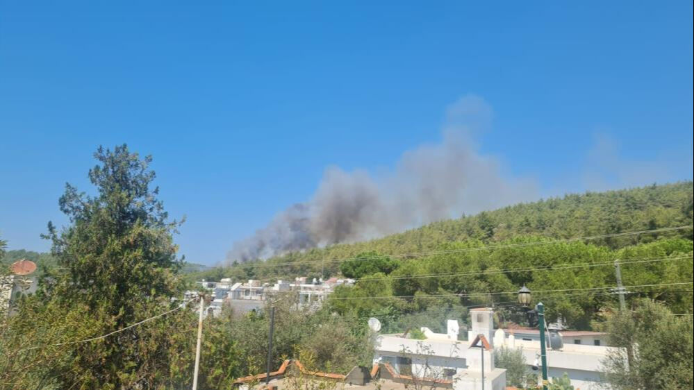 Bodrum’da orman yangını! Ekipler bölgede - 1. Resim