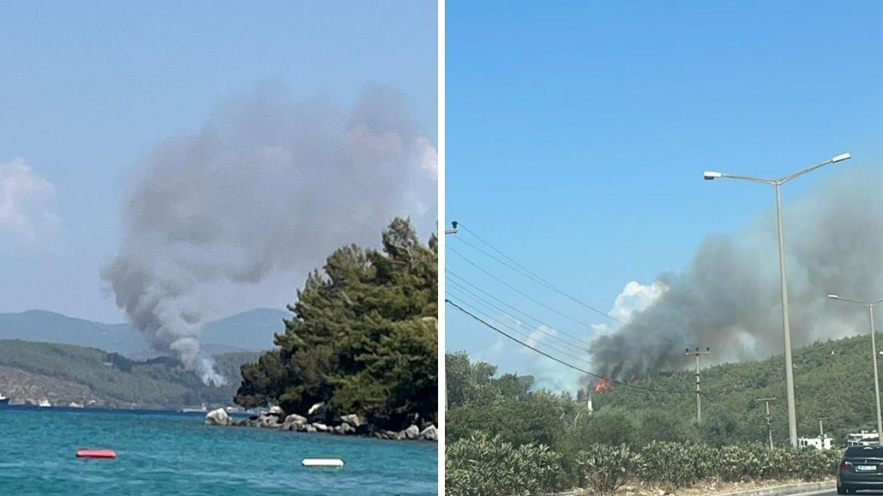Bodrum’da orman yangını! Ekiplerin hızlı müdahalesi sonuç verdi