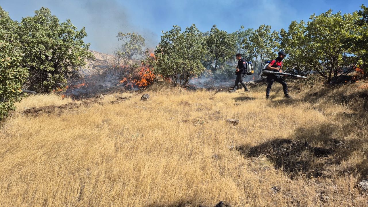 Mardin'de ormanlık alanda yangın! Alevler kısa sürede yayıldı Mardin'de ormanlık alanda yangın! Alevler kısa sürede yayıldı