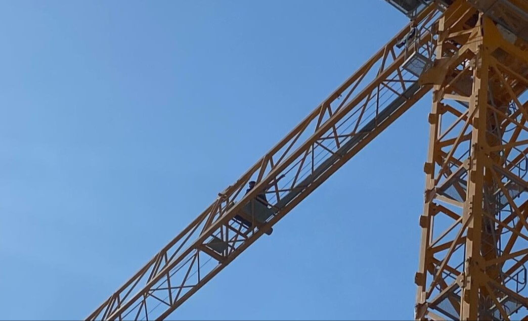 Metrelerce y&uuml;kseklikteki vince &ccedil;ıktı! Nedeni ekmek parası... - 1. Resim