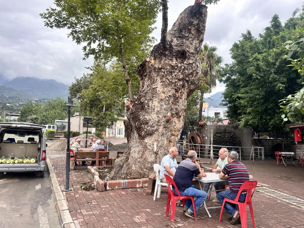 Yaşı 500'den fazla! Bir il&ccedil;enin sembol&uuml;...&nbsp; - 2. Resim
