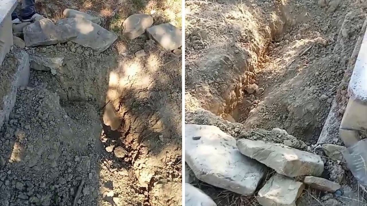 Yaşam