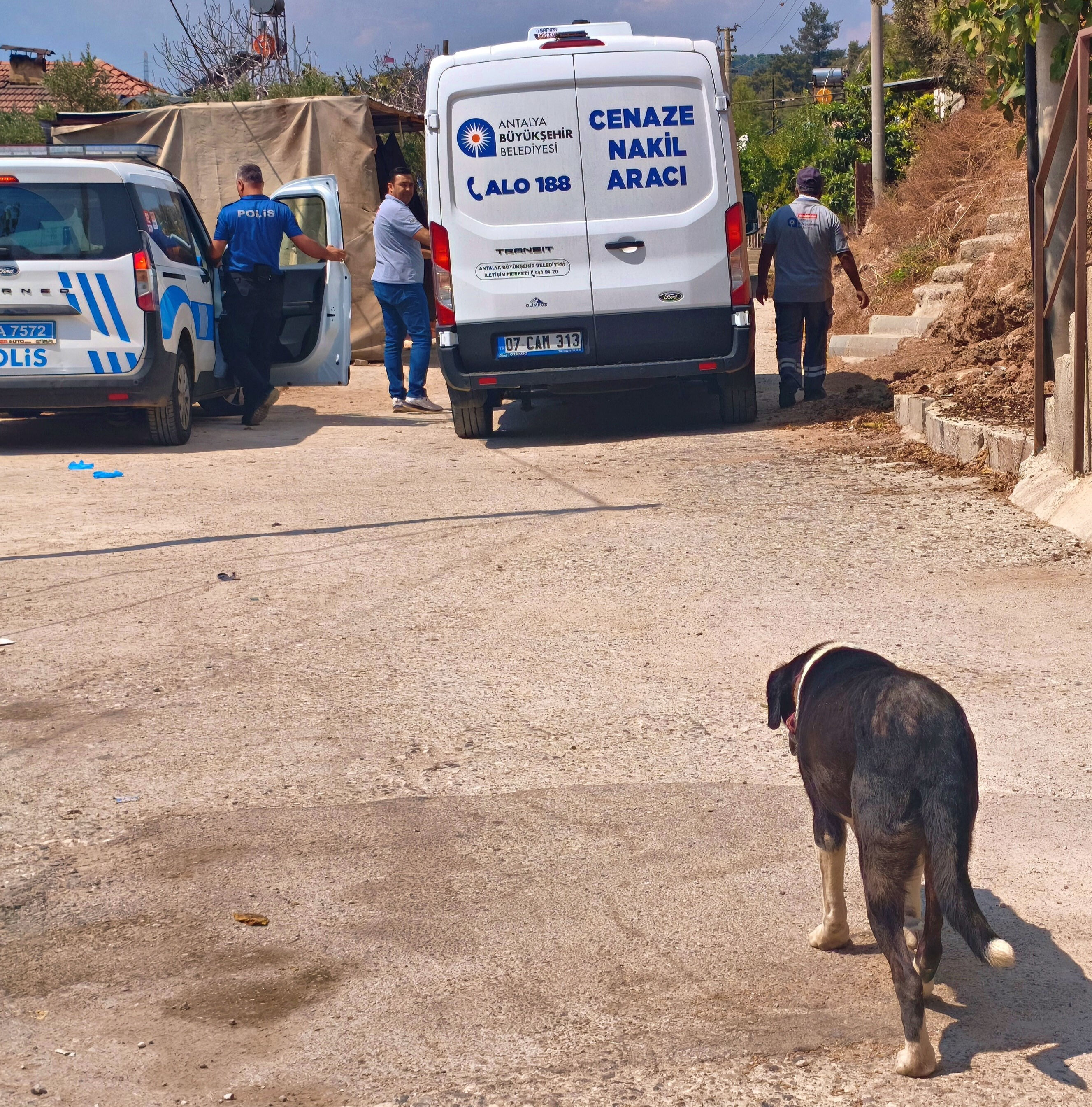 Akılalmaz ölüm! Mamalar devrildi zannettiler, acı gerçeği sabah gördüler Akılalmaz ölüm! Mamalar devrildi zannettiler, acı gerçeği sabah gördüler - 2. Resim