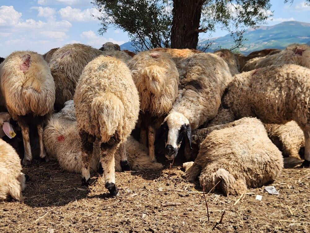 Kriz büyüyor! 130 bin ödemeye de razılar ama çalışan yok Kriz büyüyor! 130 bin ödemeye de razılar ama çalışan yok - 2. Resim