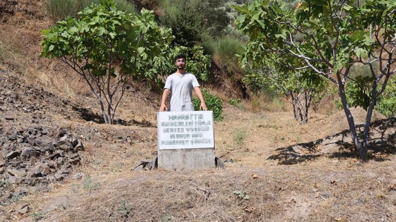 Yaşam