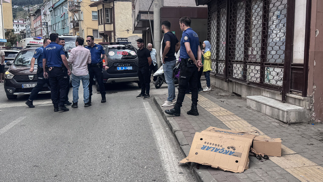Bursa'da polise akılalmaz saldırı: Önce köpeği sonra kendisi ısırdı! Bursa'da polise akılalmaz saldırı: Önce köpeği sonra kendisi ısırdı! - 1. Resim