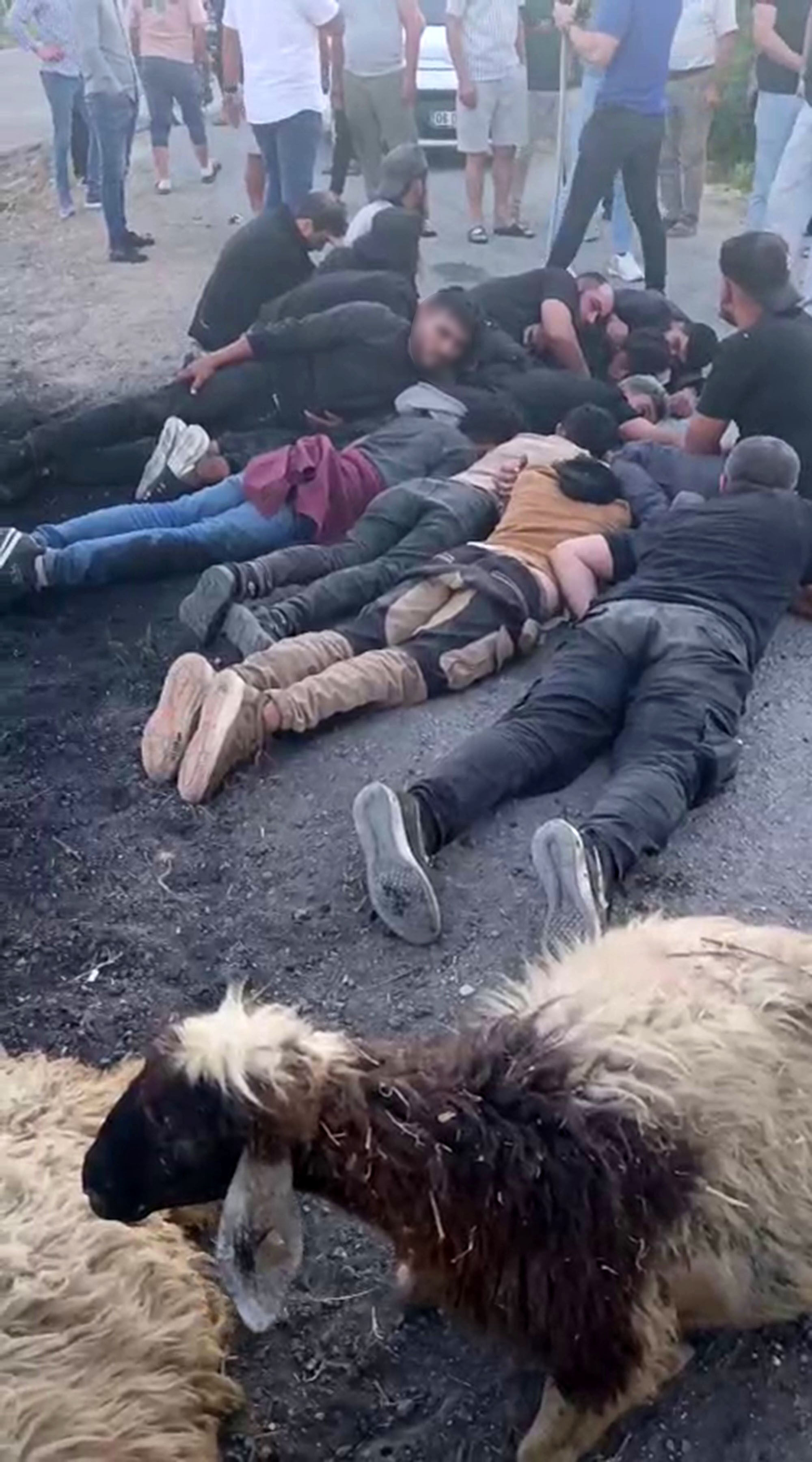 Hatay'da pes dedirten olay! Koyun sürüsüne daldı: Aracı ve göçmenleri bırakıp kaçtı Hatay'da pes dedirten olay! Koyun sürüsüne daldı: Aracı ve göçmenleri bırakıp kaçtı - 1. Resim