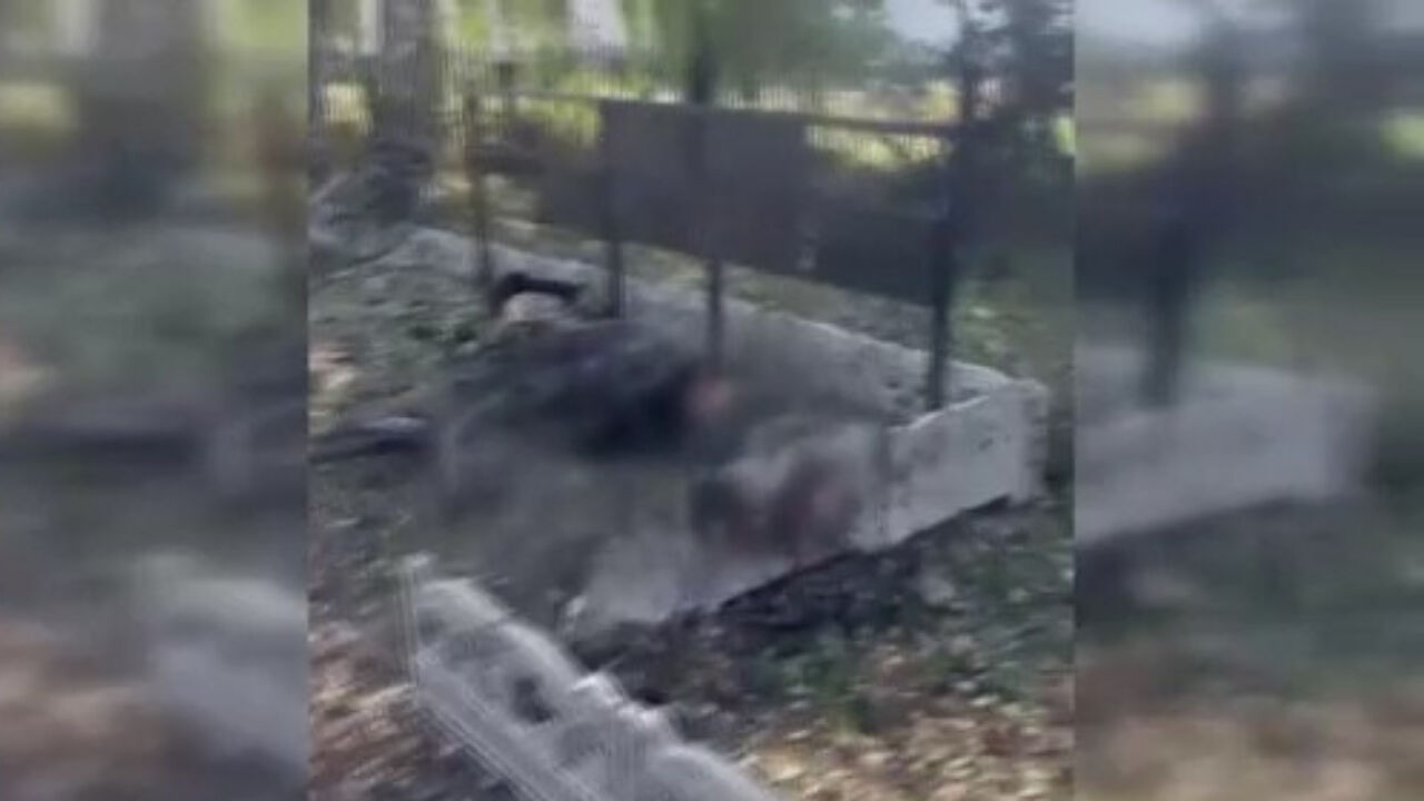 Donetsk'te katliam! Rusya maaş kuyruğundaki emeklileri bombaladı Donetsk'te katliam! Rusya maaş kuyruğundaki sivilleri bombaladı - 1. Resim