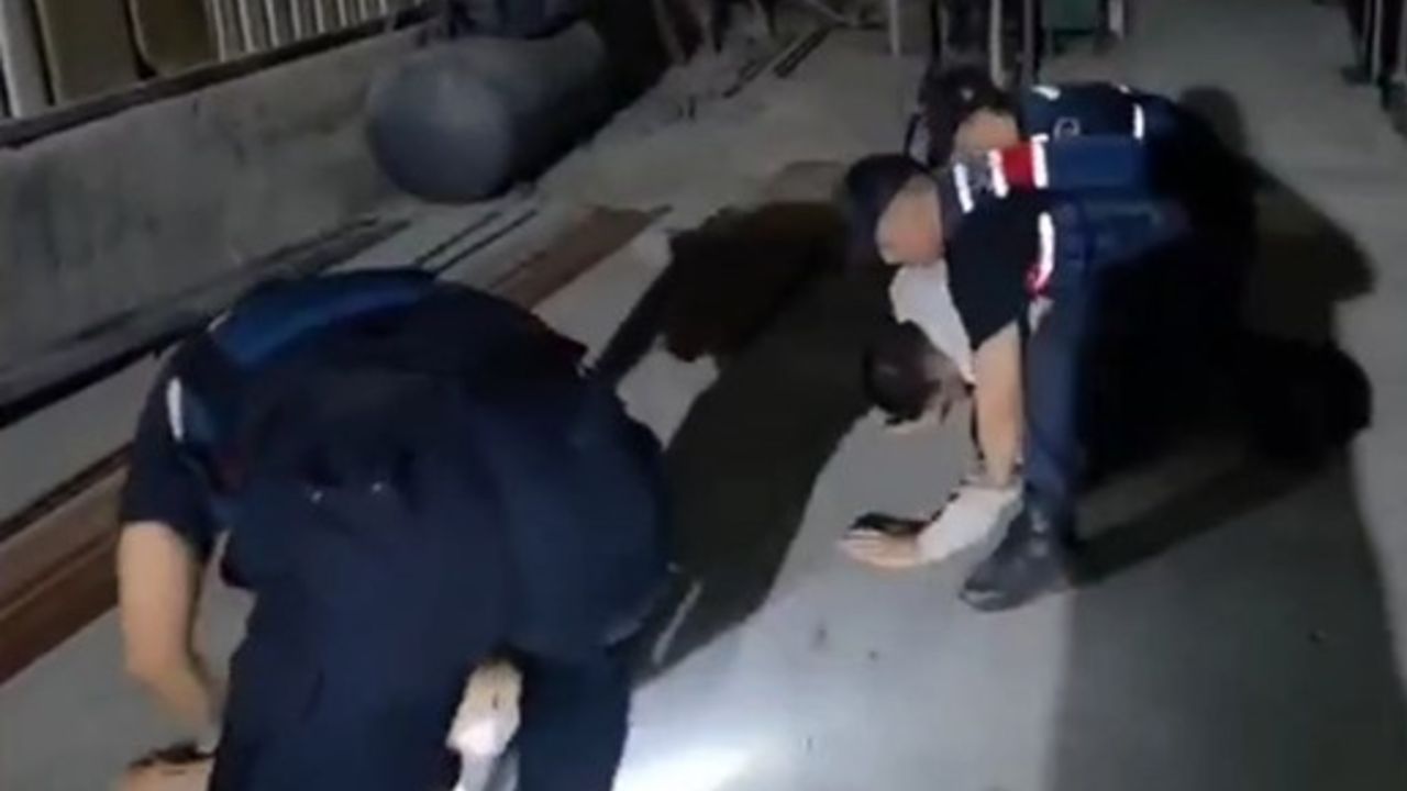 Film gibi operasyon! Konteynerler uyuşturucu serasına dönüştürülmüş Film gibi operasyon! Konteynerler uyuşturucu serasına dönüştürülmüş