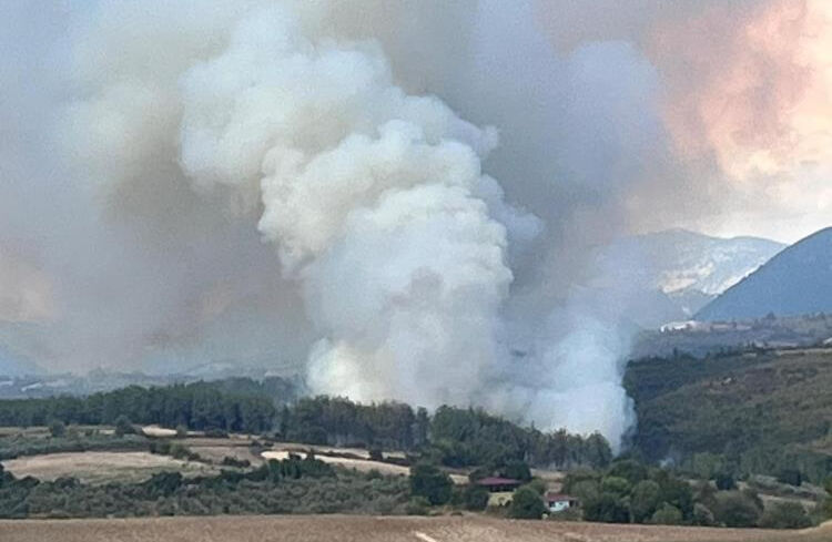 Osmaniye'de orman yangını Osmaniye'de orman yangını: Karadan ve havadan müdahale sürüyor. - 1. Resim