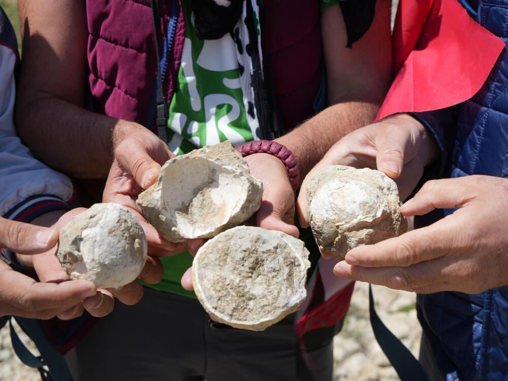2 bin 587 rakımlı dağın zirvesinde heyecanlandıran keşif! "İnanılmaz bir tarihle karşı karşıya kaldık" 2 bin 587 rakımlı dağın zirvesinde heyecanlandıran keşif! "İnanılmaz bir tarihle karşı karşıya kaldık" - 2. Resim