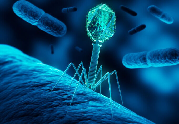 Antibiyotik direncinin şifresi çözüldü: Virüslerin kuyruklarını çalıp bakteriyle savaşıyorlar! Antibiyotik direncinin şifresi çözüldü: Virüslerin kuyruklarını çalıp bakteriyle savaşıyorlar! - 2. Resim