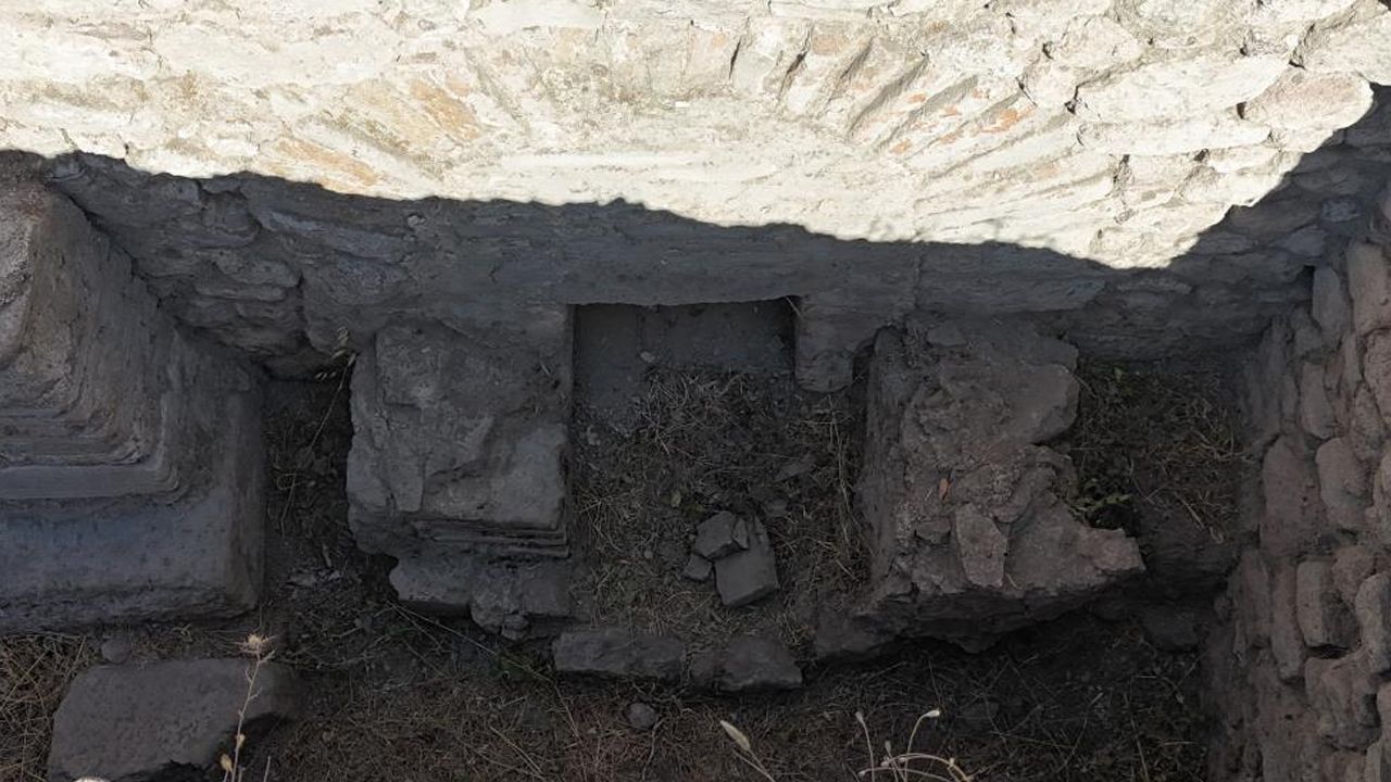 Yaşam