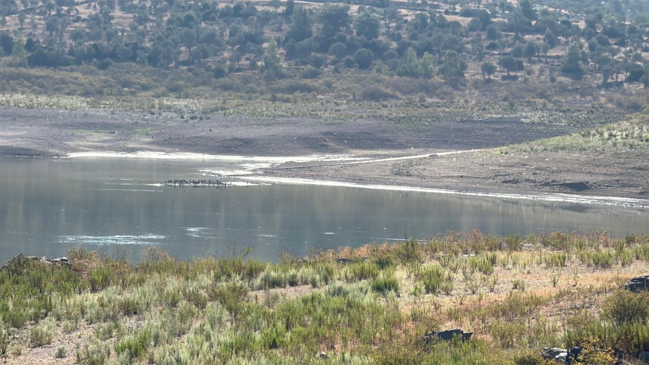 Yaşam