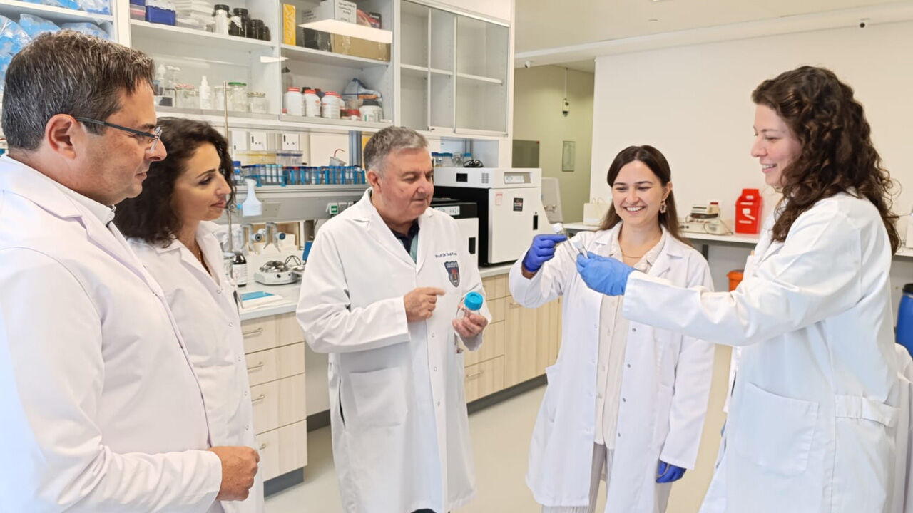 Dirençli  Dirençli