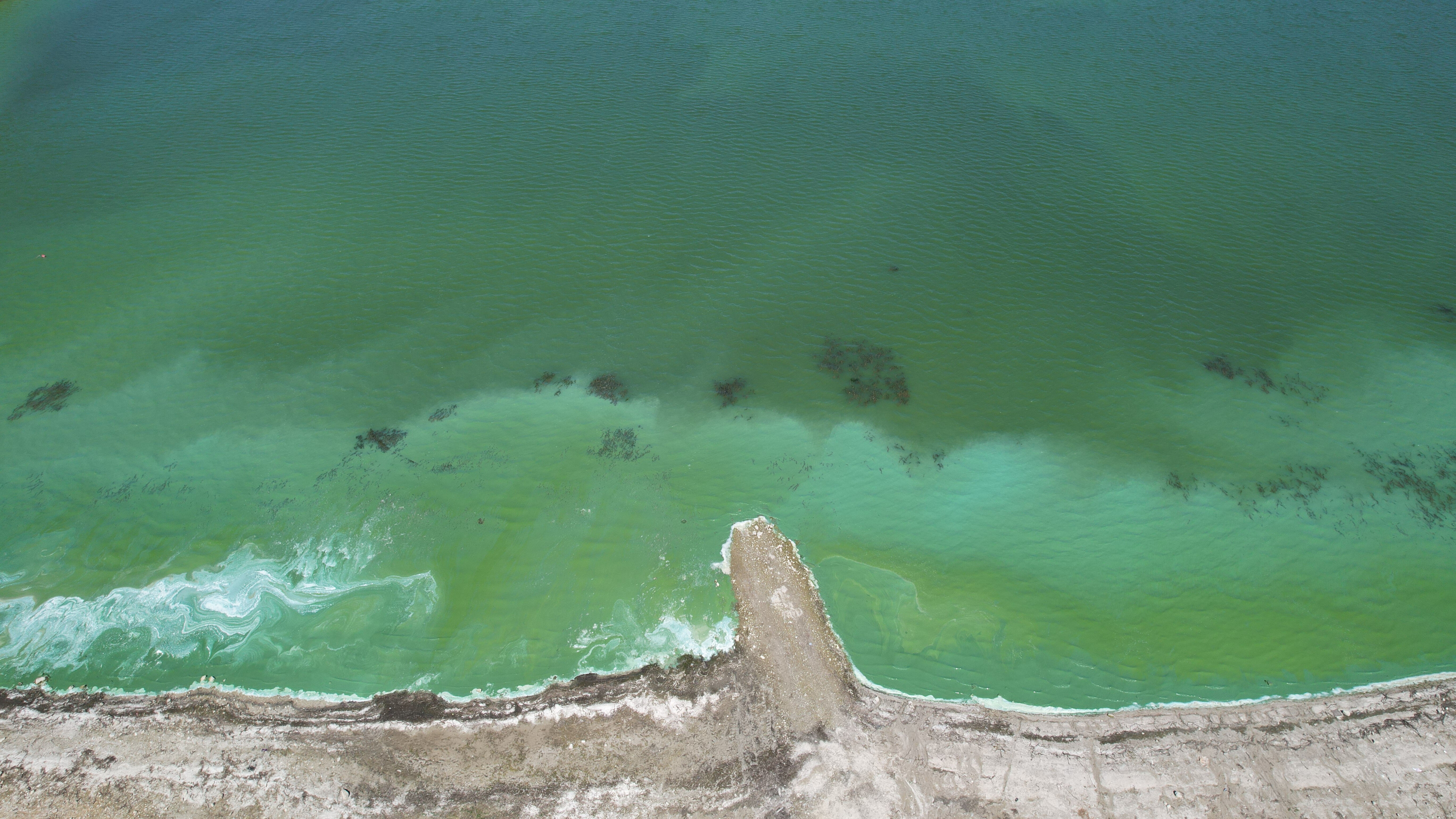 İstanbul'un suyunda endişelendiren görüntü! Köpükler kıyıya vurdu, yeşillik her yeri sardı İstanbul'un suyunda endişelendiren görüntü! Köpükler kıyıya vurdu, yeşillik her yeri sardı - 2. Resim
