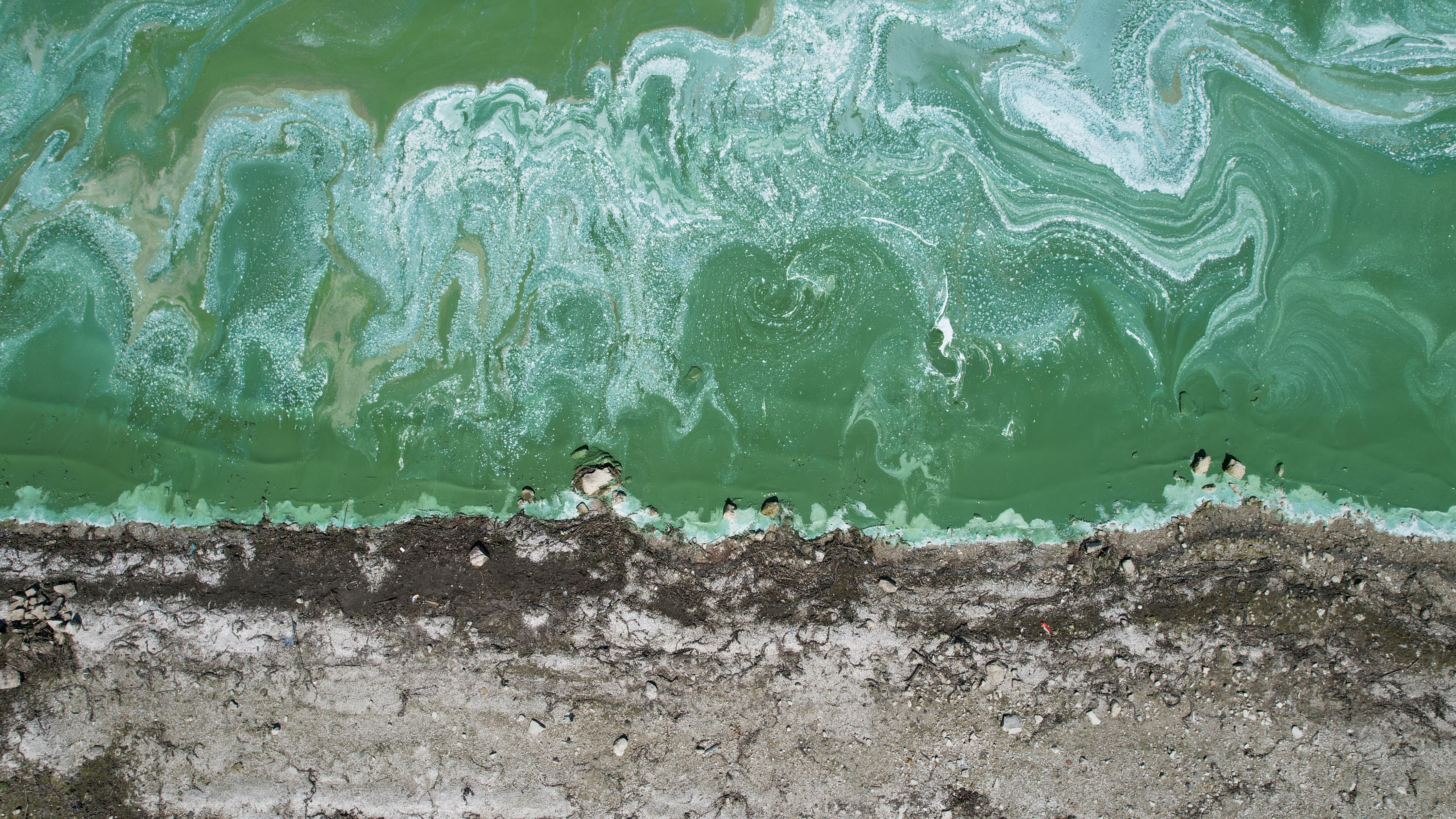 İstanbul'un suyunda endişelendiren görüntü! Köpükler kıyıya vurdu, yeşillik her yeri sardı İstanbul'un suyunda endişelendiren görüntü! Köpükler kıyıya vurdu, yeşillik her yeri sardı - 1. Resim