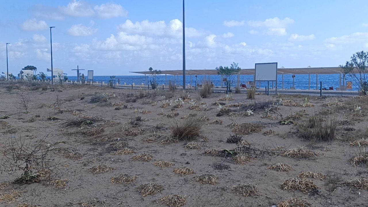 Yaşam