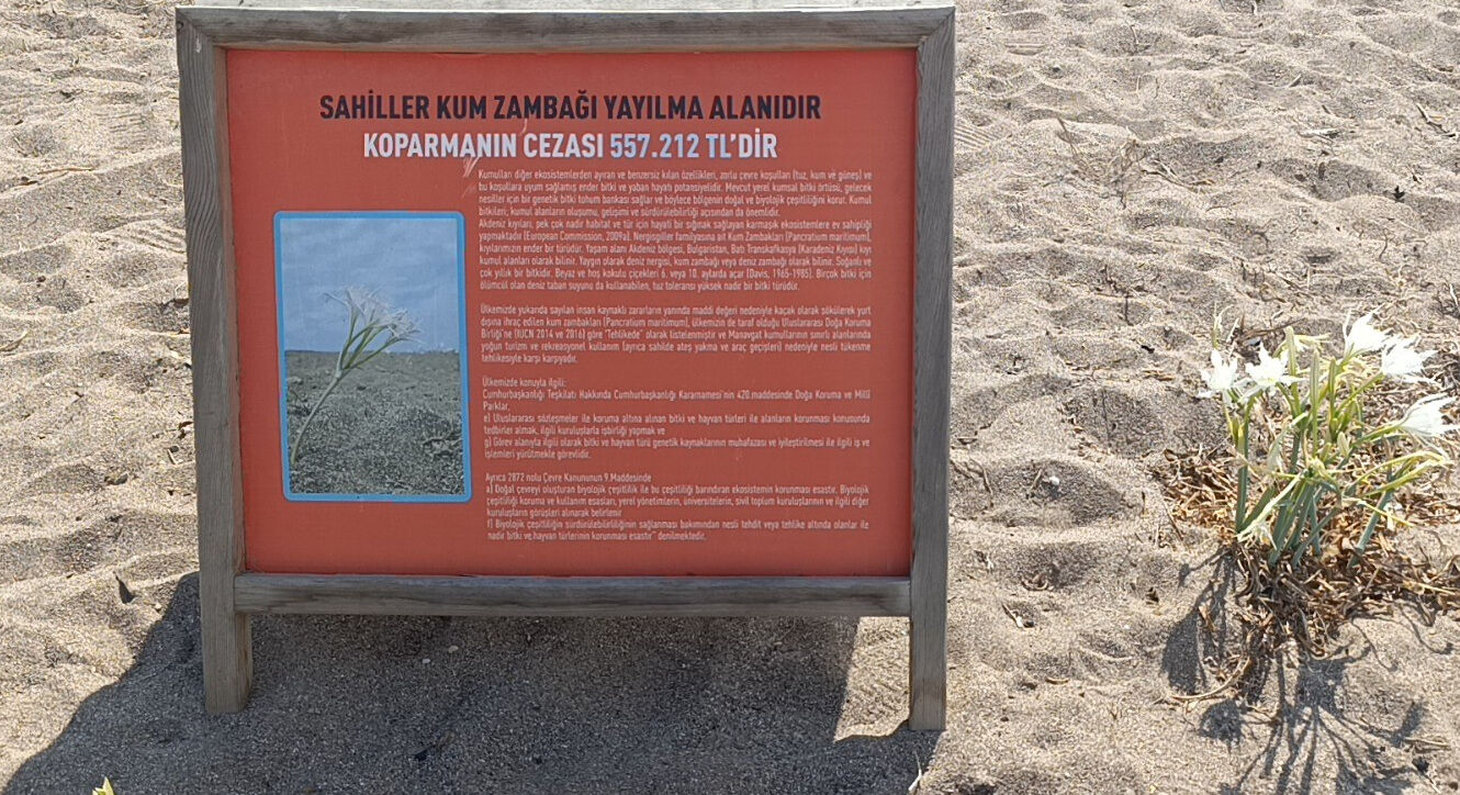 Nesli tükenmek üzere! Zarar verene büyük ceza var, dudak uçuklatıyor Nesli tükenmek üzere! Zarar verene büyük ceza var, dudak uçuklatıyor - 3. Resim