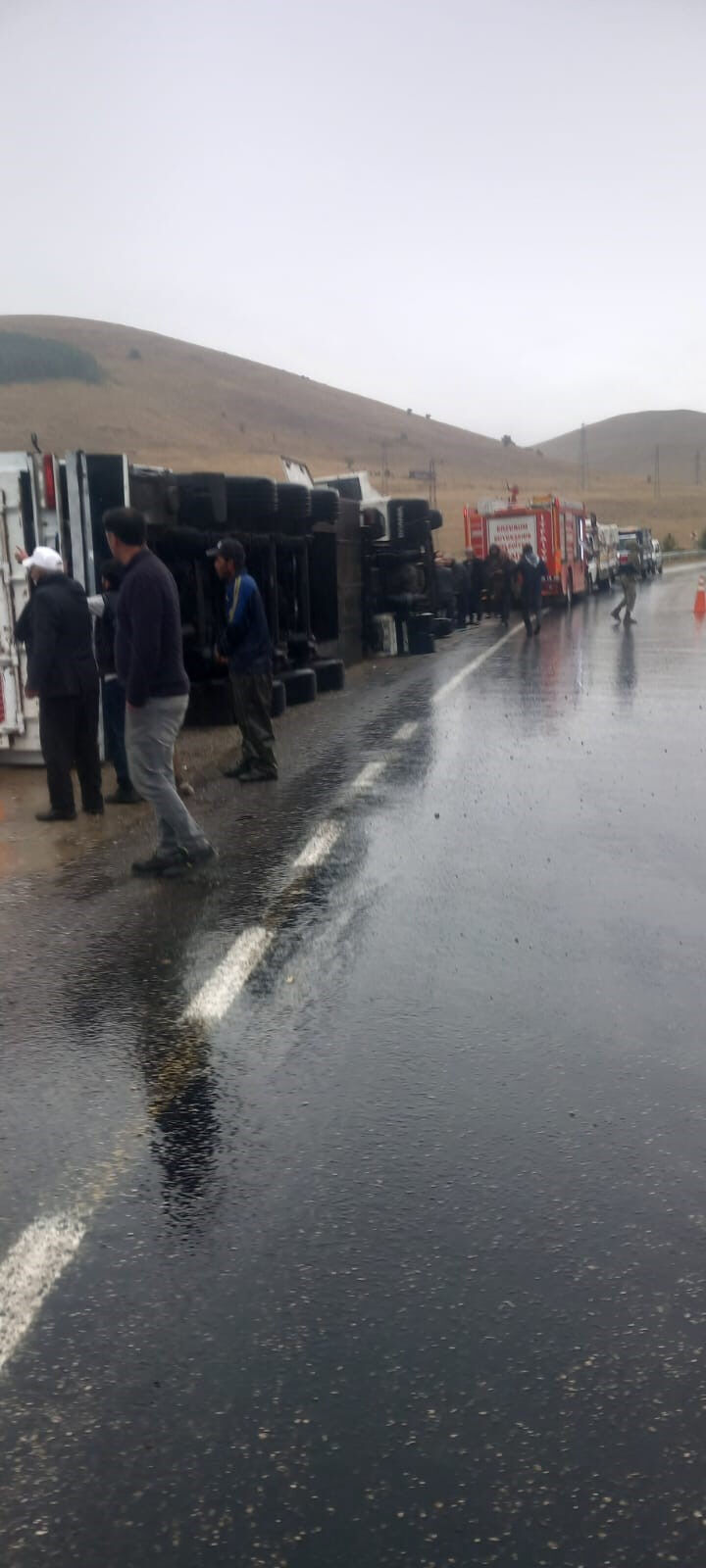 Devrilen tırda can pazarı! Hayvanlar telef oldu, yaralılar var Devrilen tırda can pazarı! Hayvanlar telef oldu, yaralılar var - 2. Resim