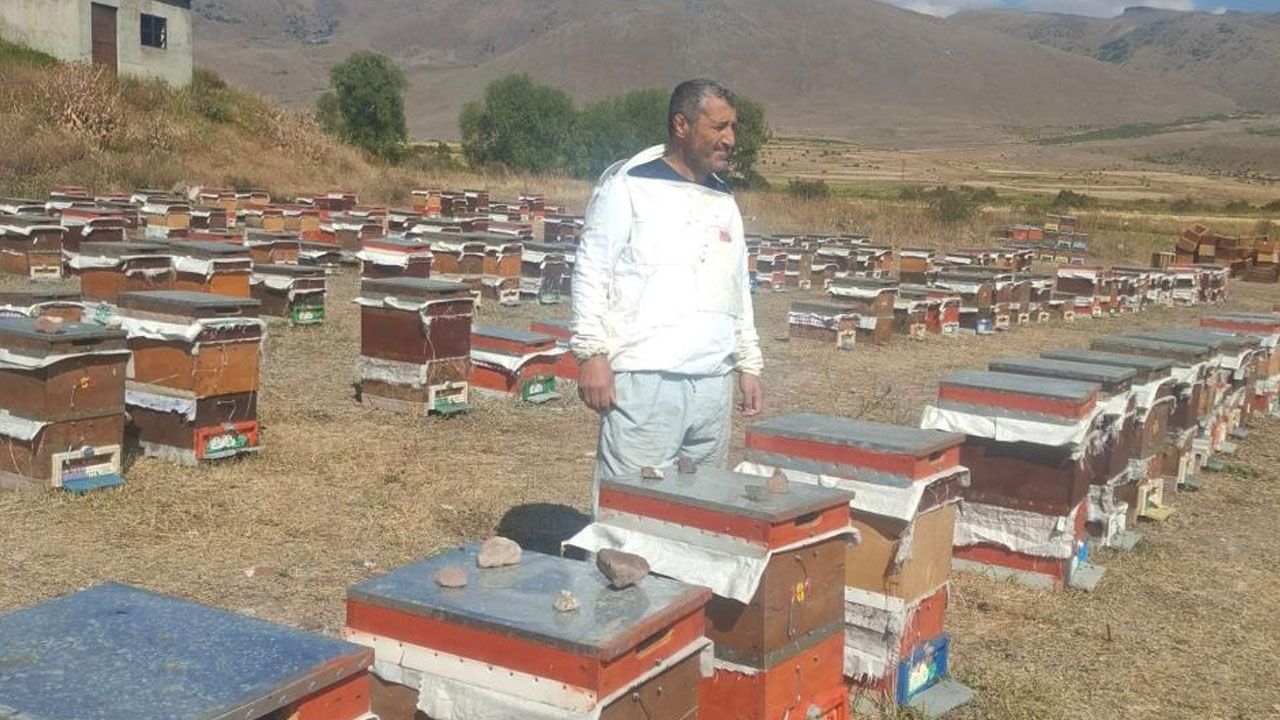 Yaşam