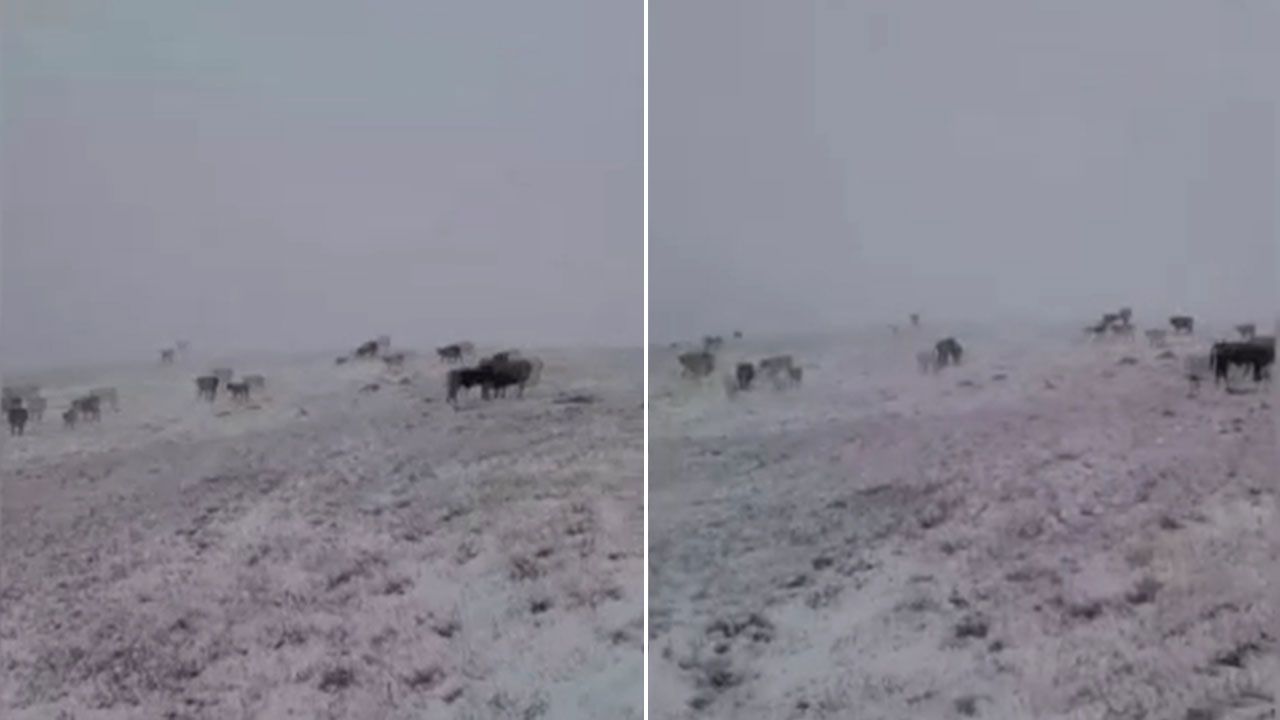 Eylül ayında kar sürprizi! Kış bir anda geldi, her yer beyaza büründü