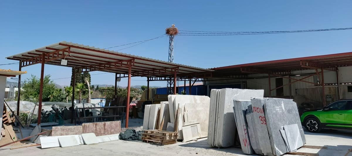 17 ilçede bir tek orası kalmıştı! Kuşadası'na ilk kez leylek geldi 17 ilçede bir tek orası kalmıştı! Kuşadası'na ilk kez leylek geldi - 2. Resim