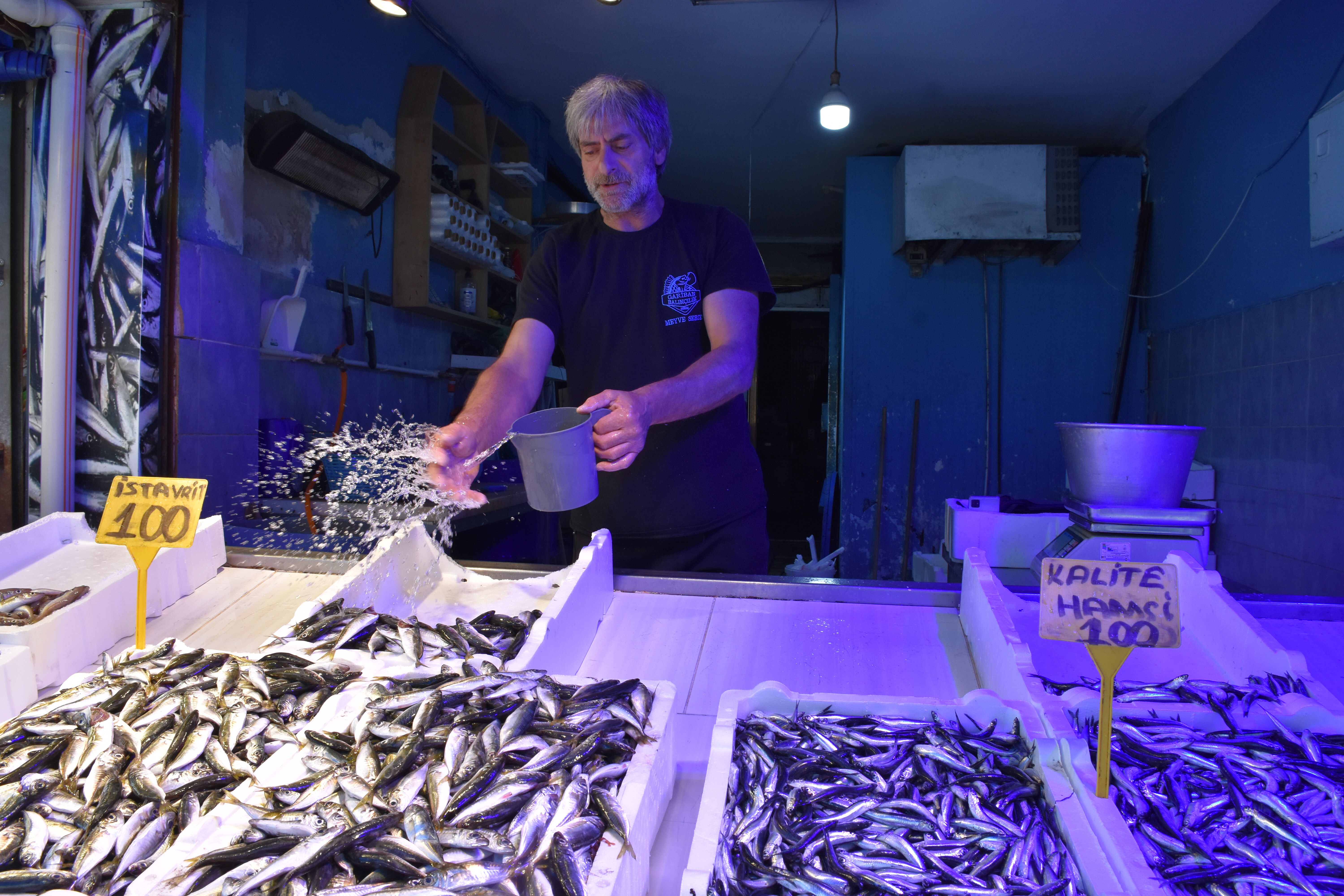 Bolluk tezgahlara yansıdı! Hamsinin fiyatı bakın kaç liraya düştü Bolluk tezgahlara yansıdı! Hamsinin fiyatı bakın kaç liraya düştü - 1. Resim