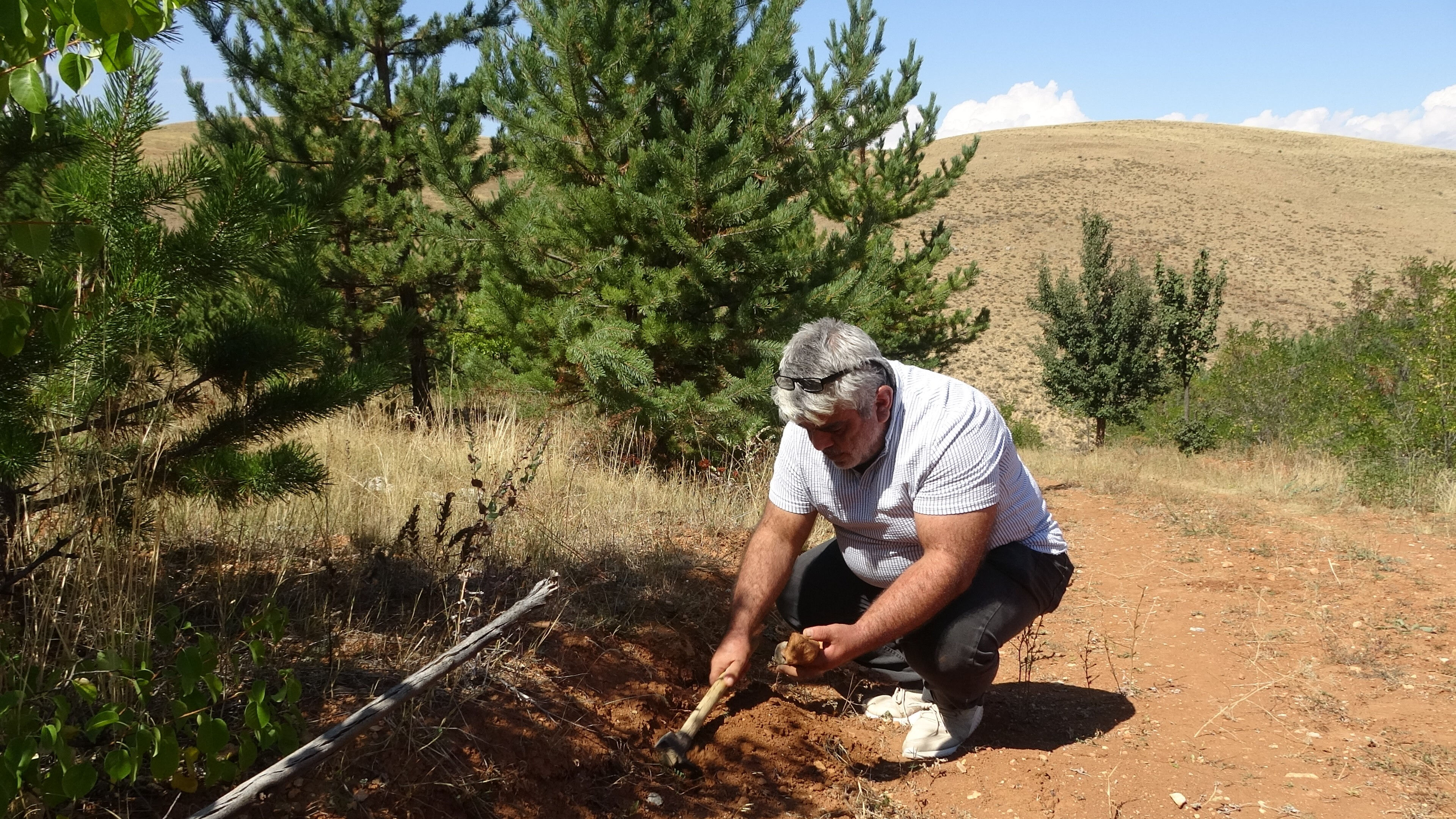 Gramı altınla yarışıyor! Toprak altından çıkarıp ekonomiye kazandırıyor Gramı altınla yarışıyor! Toprak altından çıkarıp ekonomiye kazandırıyor - 1. Resim
