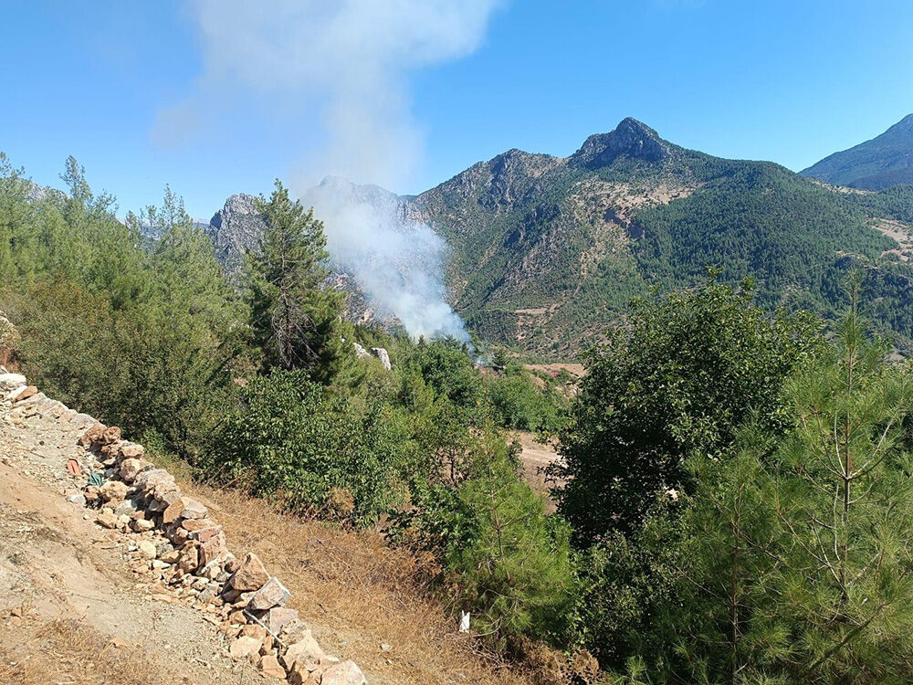 Adana'daki orman yangını söndürüldü mü, son durum ne? Adana'daki orman yangını söndürüldü mü, son durum ne? - 2. Resim