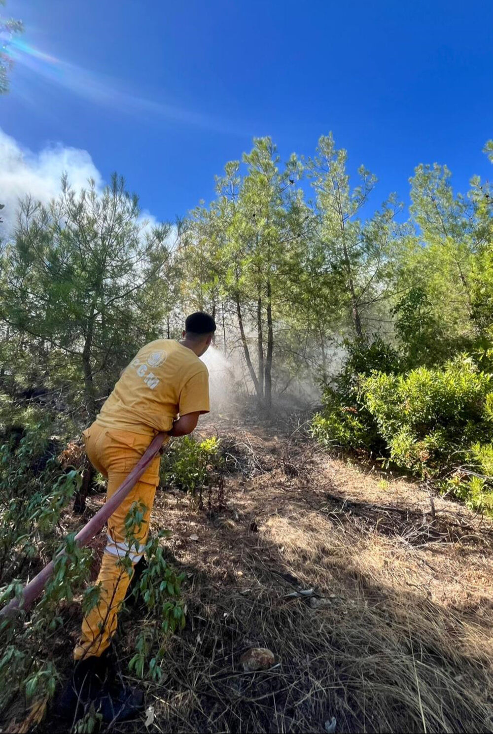 Adana'daki orman yangını söndürüldü mü, son durum ne? Adana'daki orman yangını söndürüldü mü, son durum ne? - 1. Resim