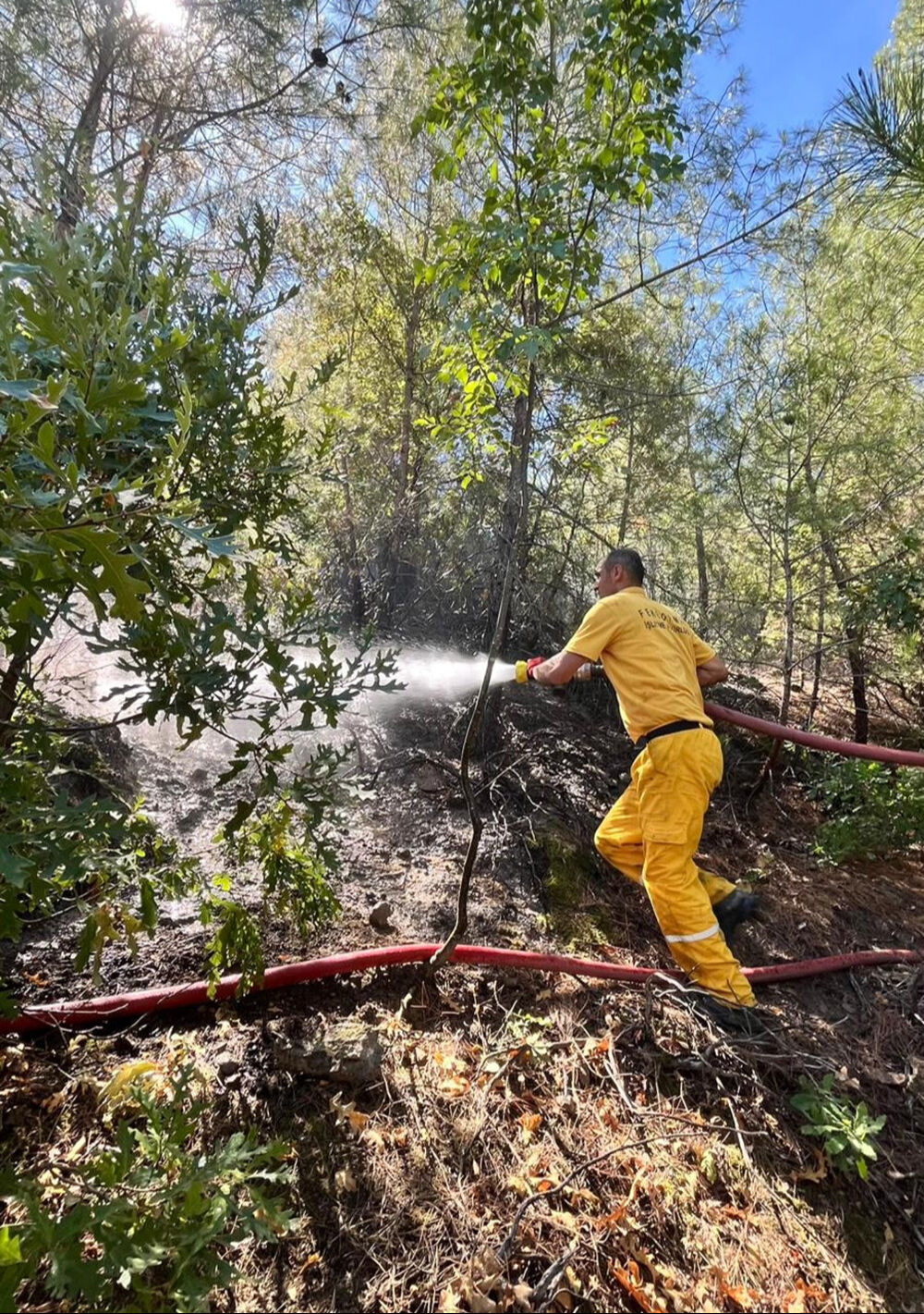 Adana'daki orman yangını söndürüldü mü, son durum ne? Adana'daki orman yangını söndürüldü mü, son durum ne? - 3. Resim